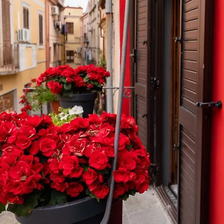 Sa Domu Rubia Gasthof 3*